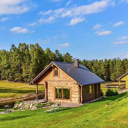Vip Forest Dreams Villa Anykščiai Εξωτερικό φωτογραφία
