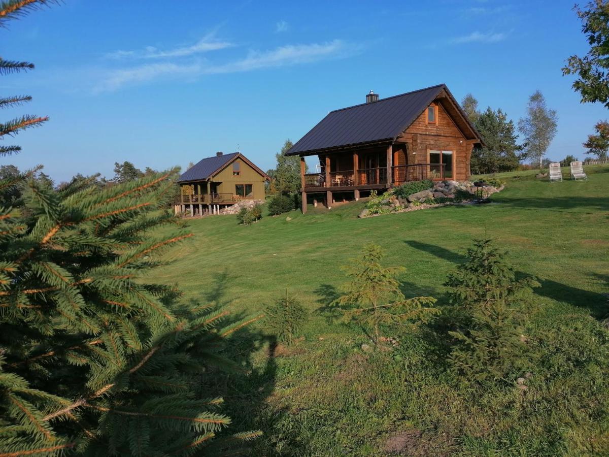 Vip Forest Dreams Villa Anykščiai Εξωτερικό φωτογραφία