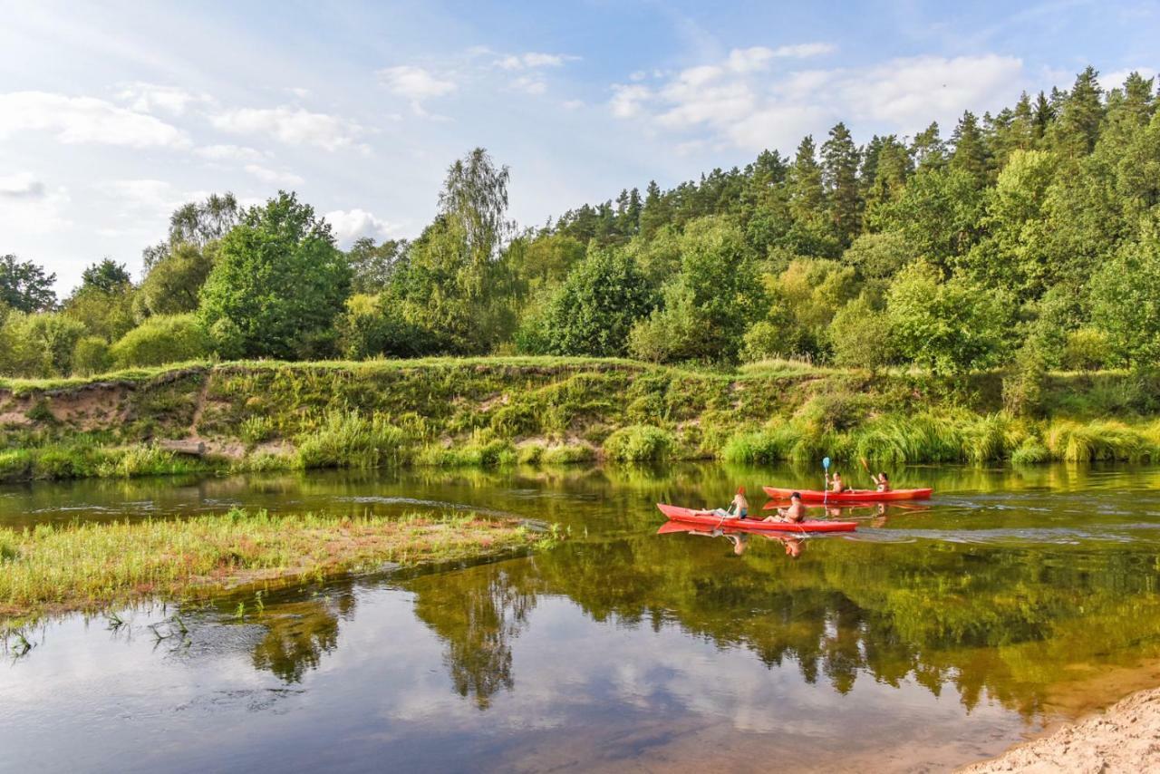 Vip Forest Dreams Villa Anykščiai Εξωτερικό φωτογραφία