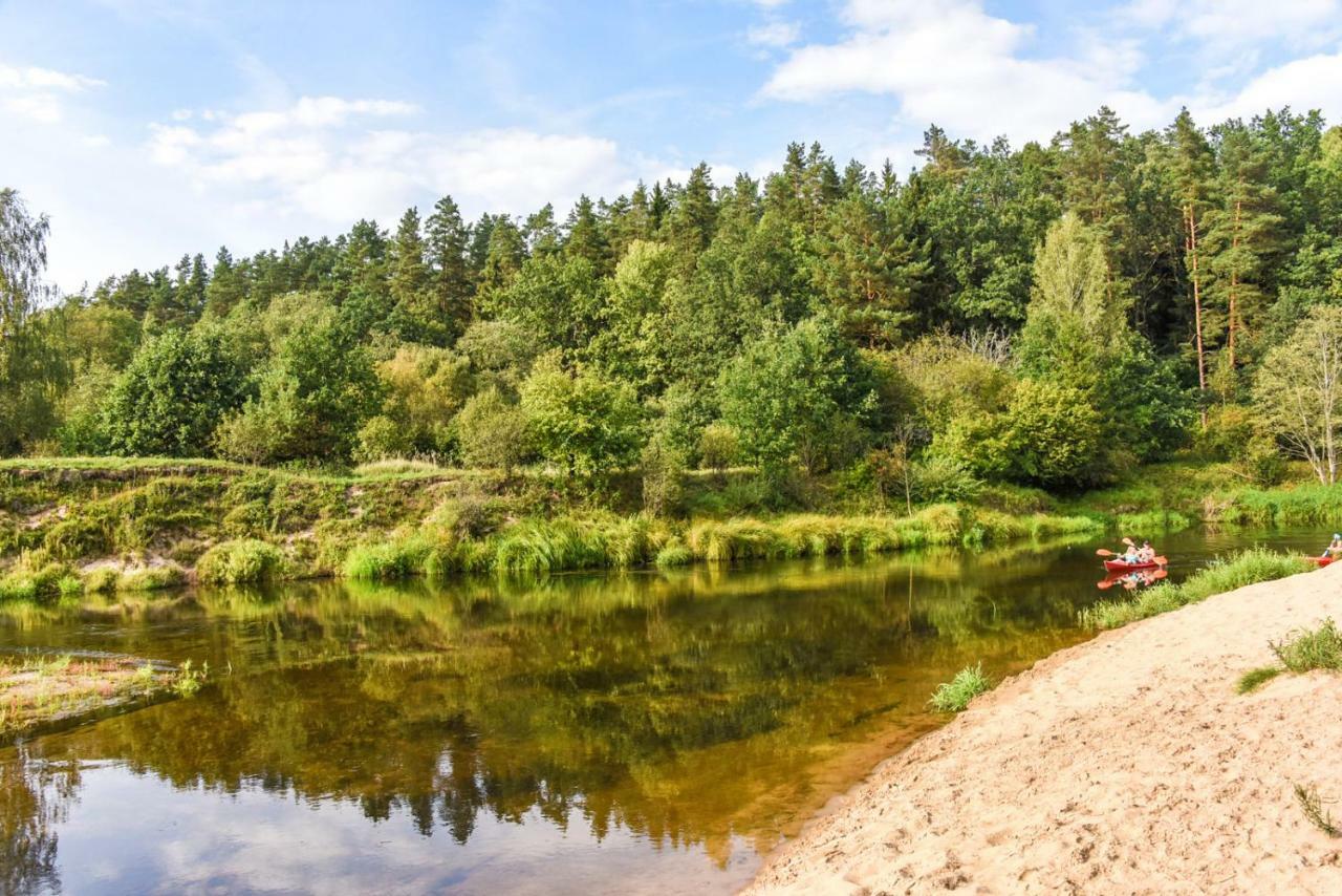Vip Forest Dreams Villa Anykščiai Εξωτερικό φωτογραφία