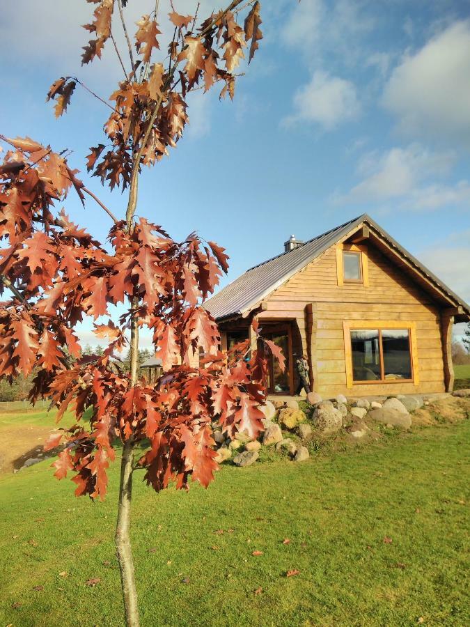 Vip Forest Dreams Villa Anykščiai Εξωτερικό φωτογραφία