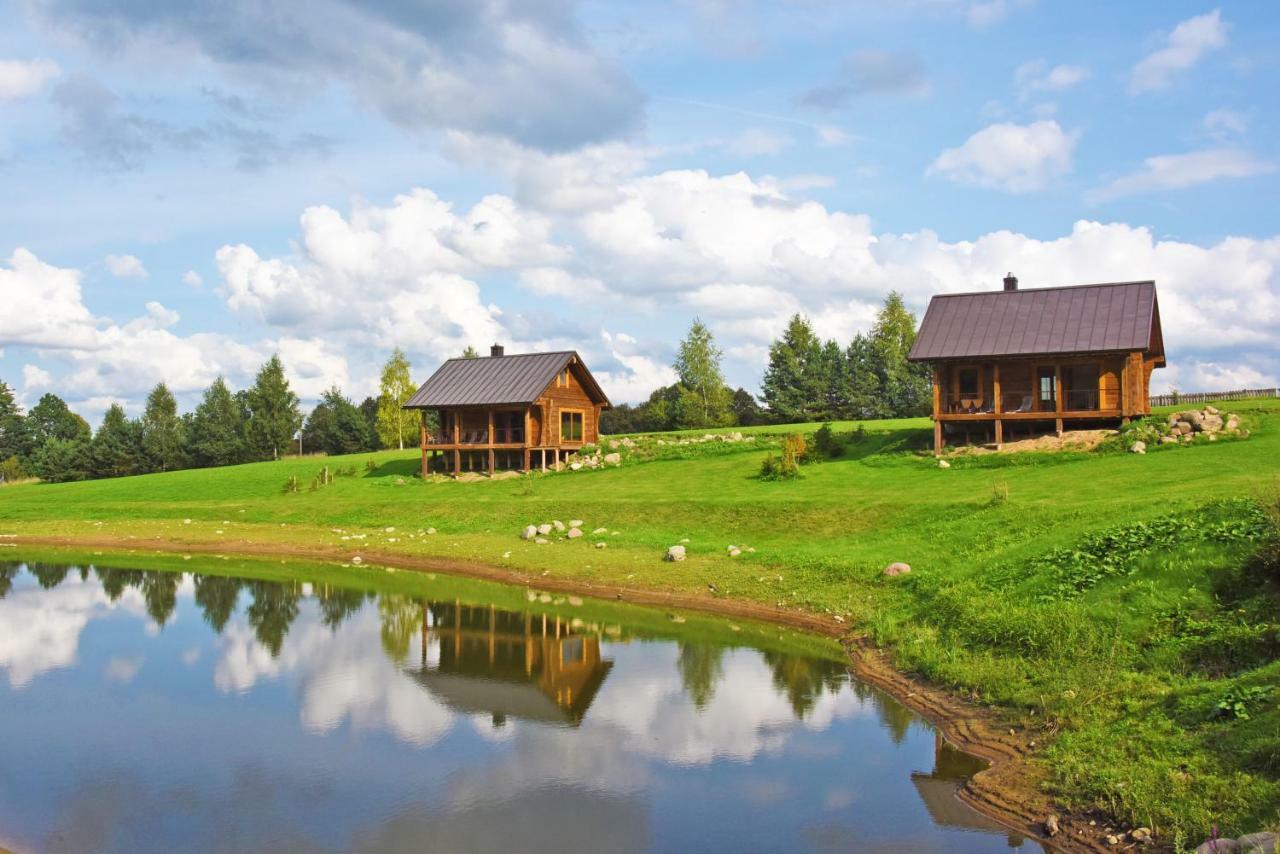 Vip Forest Dreams Villa Anykščiai Εξωτερικό φωτογραφία