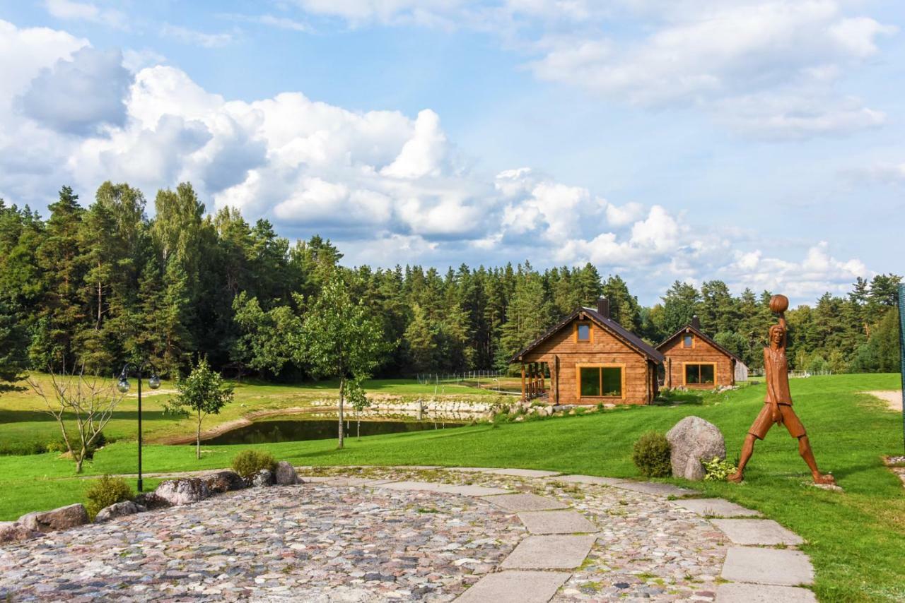 Vip Forest Dreams Villa Anykščiai Εξωτερικό φωτογραφία