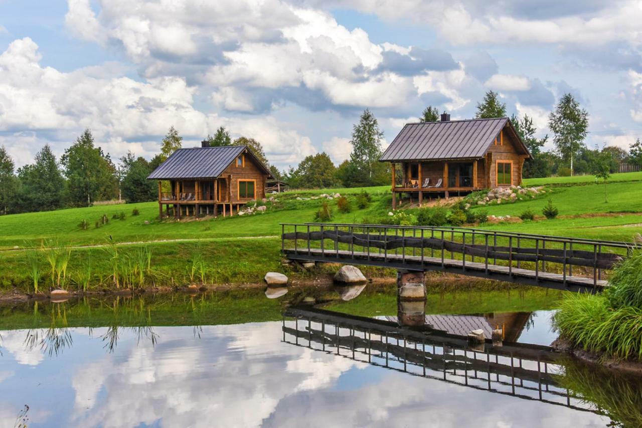 Vip Forest Dreams Villa Anykščiai Εξωτερικό φωτογραφία